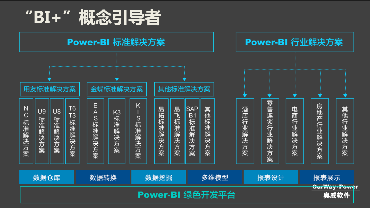 BI解决方案