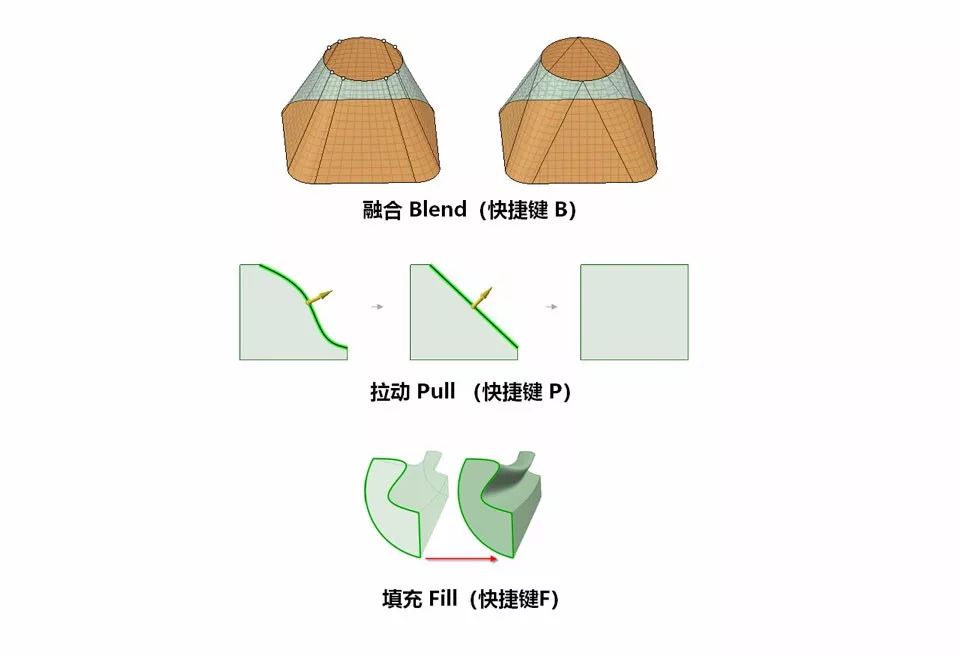 流体仿真中SCDM软件的基本工作流程