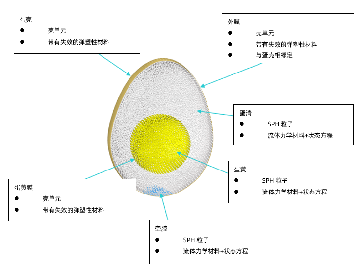 【数字揭秘】不起眼的鸡蛋能支撑起一个人的体重吗？