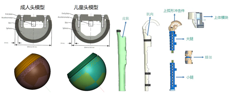 行人保护法规及LS-DYNA仿真技术概述