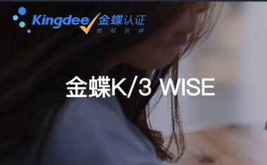 金蝶K/3 WISE