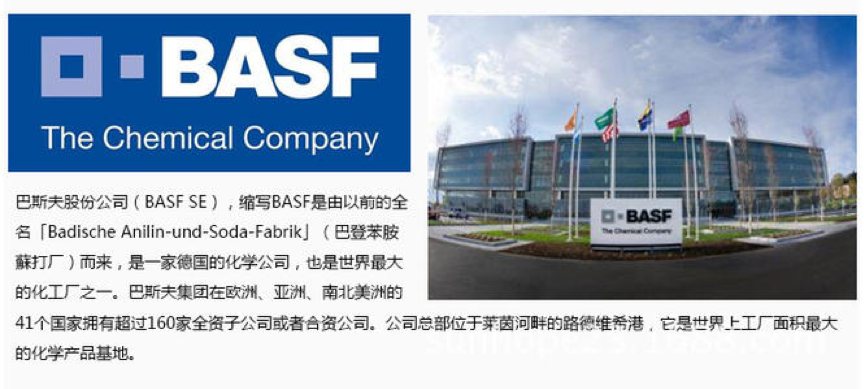 智造新未来 BASF巴斯夫APS项目启动